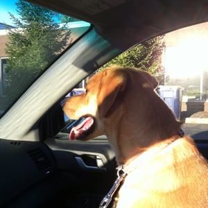 Meet your Posher, Kim